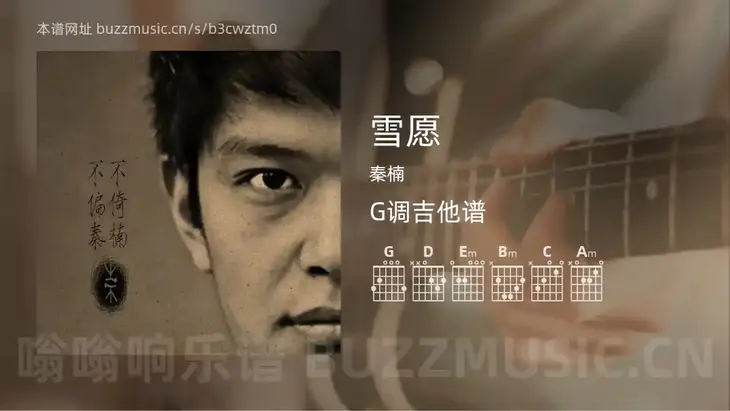 雪愿 秦楠 吉他谱G调简单版