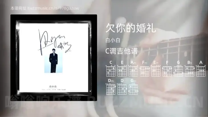 欠你的婚礼 白小白 吉他谱C调简单版