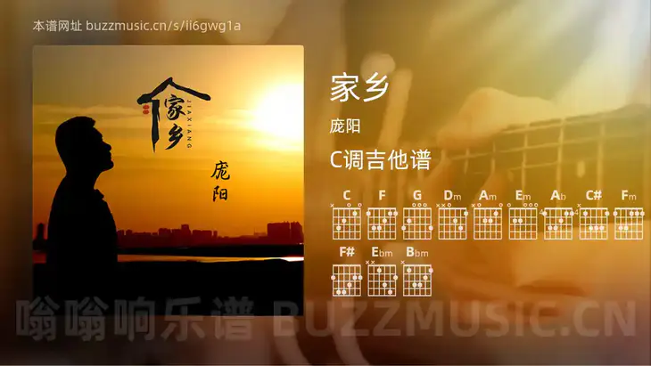 家乡 庞阳 吉他谱C调简单版