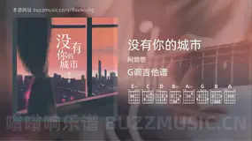 没有你的城市 阿悠悠 吉他谱G调简单版