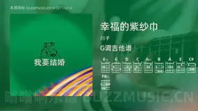 幸福的紫纱巾 川子 吉他谱G调简单版