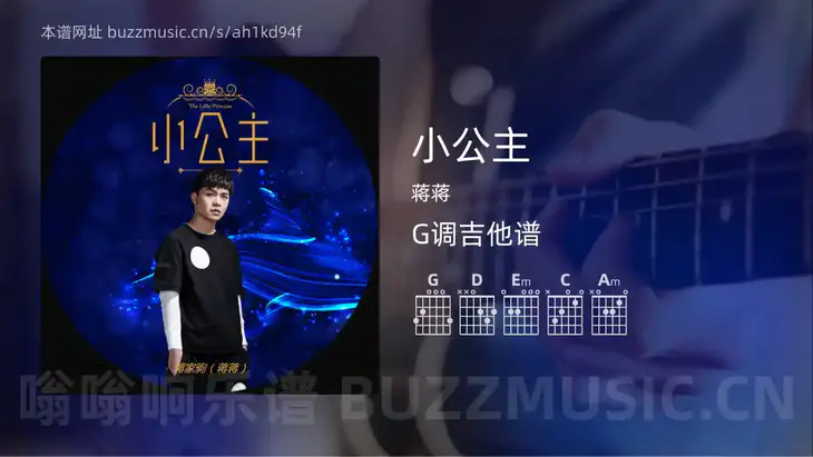 小公主 蒋蒋 吉他谱G调简单版