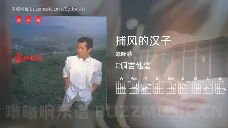 捕风的汉子 谭咏麟 吉他谱C调简单版