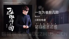 一生为谁醉几回 韩小欠 吉他谱C调简单版