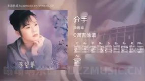 分手 李碧华 吉他谱C调简单版