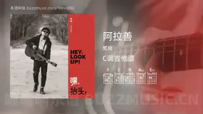 阿拉善 贰佰 吉他谱C调简单版