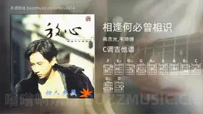 相逢何必曾相识吉他谱C调 蒋志光,韦绮姗 简单版