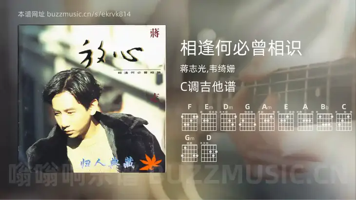 相逢何必曾相识吉他谱C调 蒋志光,韦绮姗 简单版