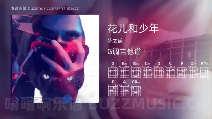 花儿和少年 薛之谦 吉他谱G调简单版