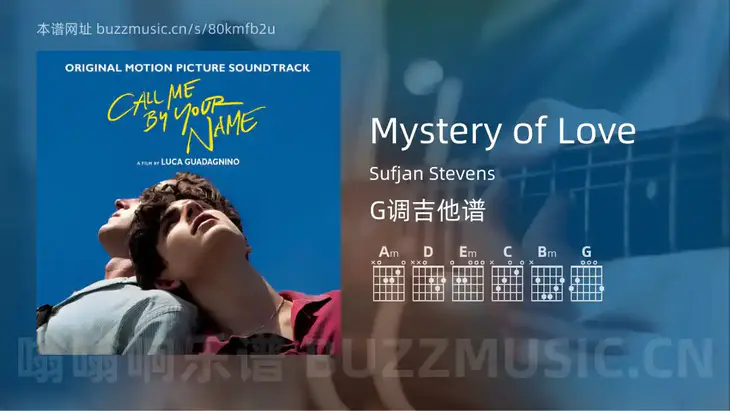 Mystery of Love Sufjan Stevens 吉他谱G调简单版