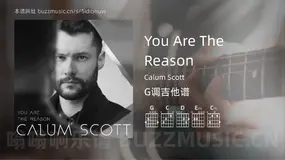 You Are The Reason吉他谱G调 Calum Scott 简单版