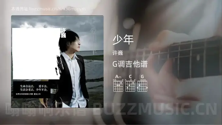 少年 许巍 吉他谱G调简单版