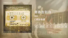青春告别诗吉他谱C调 庞龙 简单版