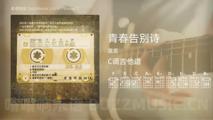 青春告别诗吉他谱C调 庞龙 简单版