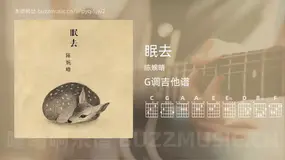 眠去 陈婉晴 吉他谱G调简单版