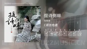提诗侧畔 刘珂矣 吉他谱C调简单版