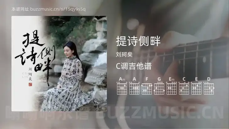 提诗侧畔 刘珂矣 吉他谱C调简单版