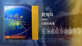 爱情鸟 林依轮 吉他谱G调简单版