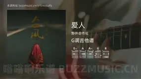 爱人 野外合作社 吉他谱G调简单版