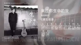 来过你生命的我吉他谱C调 海来阿木 简单版