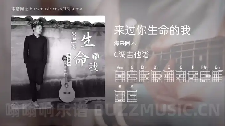 来过你生命的我吉他谱C调 海来阿木 简单版