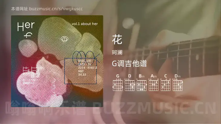 花 珂澜 吉他谱G调简单版