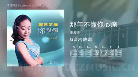 那年不懂你心痛 王爱华 吉他谱G调简单版