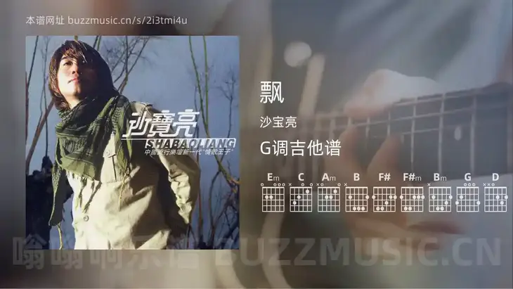 飘吉他谱G调 沙宝亮 简单版