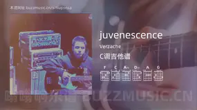 juvenescence吉他谱C调 Verzache 简单版