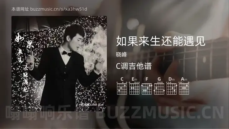 如果来生还能遇见吉他谱C调 晓峰 简单版