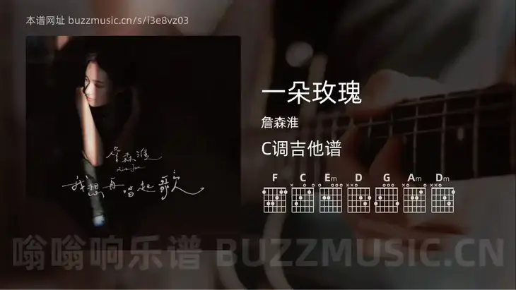 一朵玫瑰 詹森淮 吉他谱C调简单版