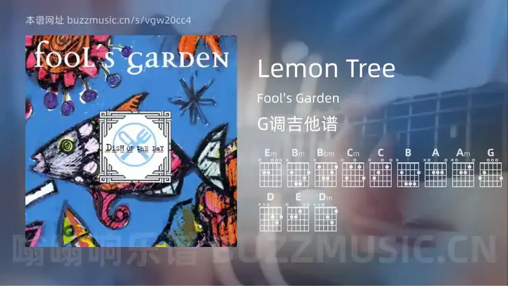 Lemon Tree Fool’s Garden 吉他谱G调简单版
