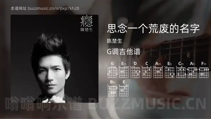 思念一个荒废的名字吉他谱G调 陈楚生 简单版