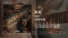 重逢 高嘉朗 吉他谱G调简单版