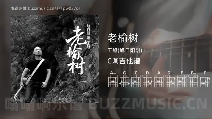 老榆树吉他谱C调 王旭(旭日阳刚) 简单版