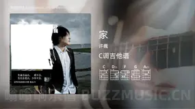 家吉他谱C调 许巍 简单版