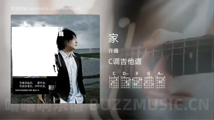 家吉他谱C调 许巍 简单版