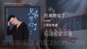 兄弟想你了 小阿枫 吉他谱C调简单版