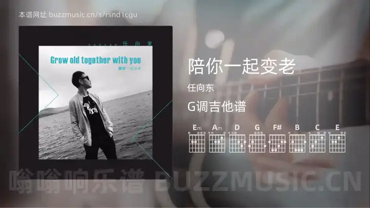 陪你一起变老 任向东 吉他谱G调简单版