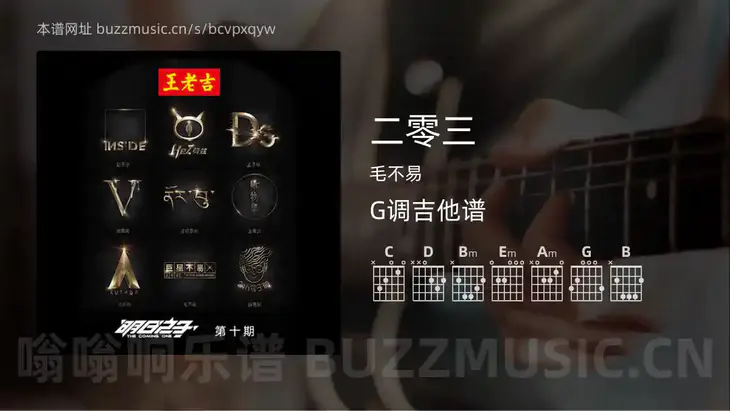 二零三 毛不易 吉他谱G调简单版