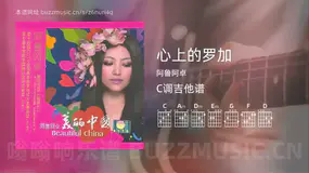 心上的罗加 阿鲁阿卓 吉他谱C调简单版