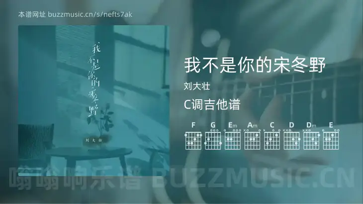 我不是你的宋冬野 刘大壮 吉他谱C调简单版