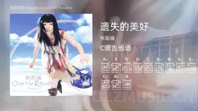 遗失的美好 张韶涵 吉他谱C调简单版