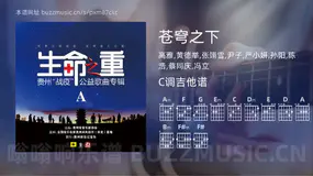 苍穹之下吉他谱C调 高雅,黄德举,张翊雪,尹子,严小妍,孙阳,陈浩,蔡同庆,冯立 简单版