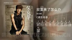 寂寞来了怎么办 吴克群 吉他谱C调简单版
