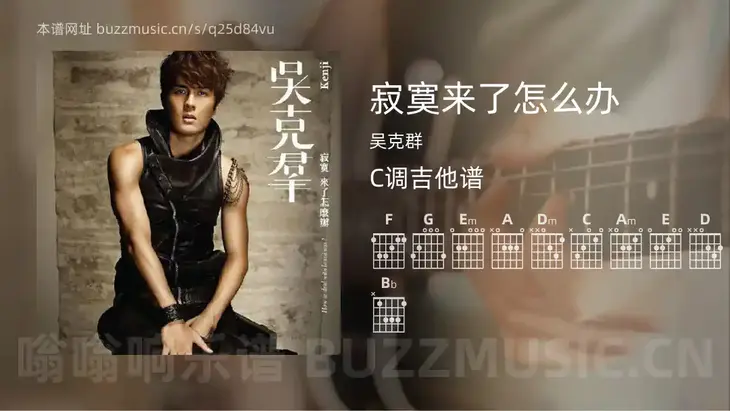 寂寞来了怎么办 吴克群 吉他谱C调简单版