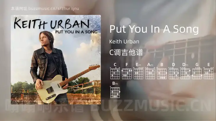 Put You In A Song吉他谱C调 Keith Urban 简单版