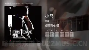 小鸟 汪峰 吉他谱G调简单版