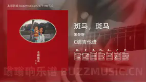 斑马，斑马吉他谱C调 宋冬野 简单版