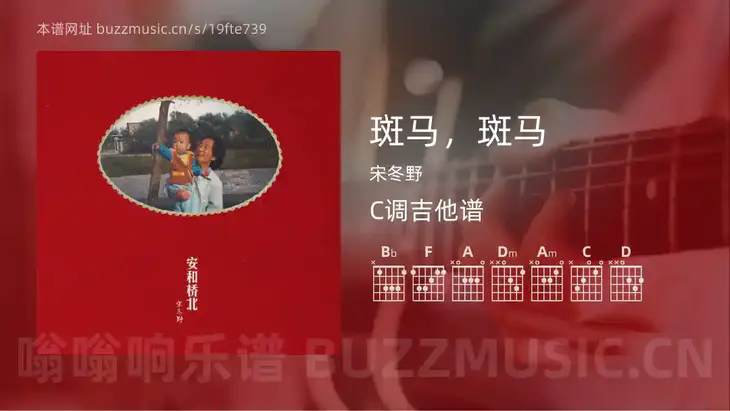 斑马，斑马吉他谱C调 宋冬野 简单版